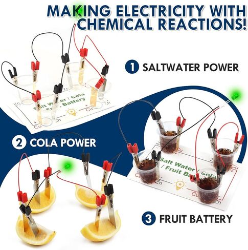 Fruit Saltwater Battery Science Circuit Kits for Kids 8-12, Bulk STEM Kit Potato Battery Lemon Light Bulb Food Experiments, Circuits for Class Electricity Projects Classroom Gifts 8 9 10 11 Year Old in Saudi Arabia