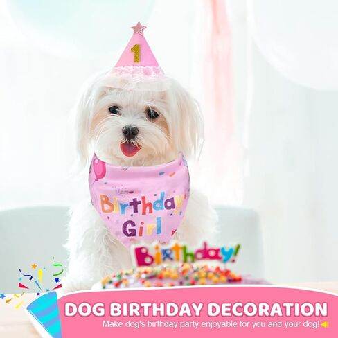 Dog Birthday Party Supplies, Pink Birthday Girl Bandana, Birthday Hat with Star and Numbers, Dog Birthday Decorations for Large Medium Small Dogs Pets in Saudi Arabia