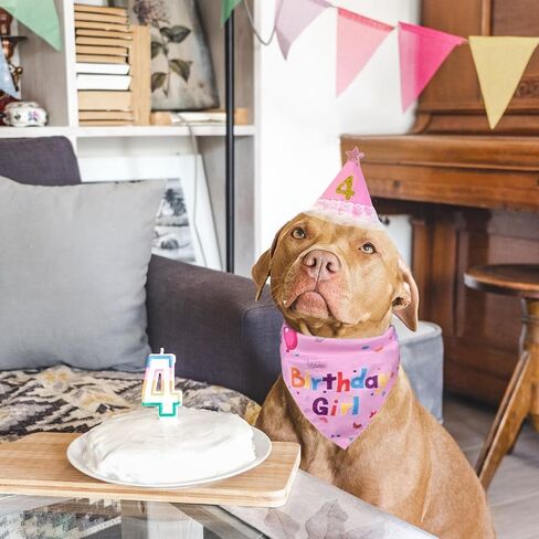 Dog Birthday Party Supplies, Pink Birthday Girl Bandana, Birthday Hat with Star and Numbers, Dog Birthday Decorations for Large Medium Small Dogs Pets in Saudi Arabia