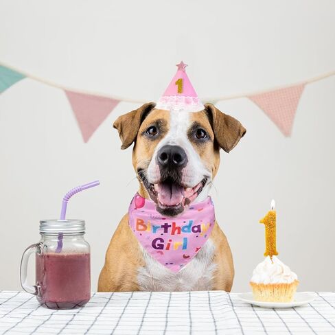 Dog Birthday Party Supplies, Pink Birthday Girl Bandana, Birthday Hat with Star and Numbers, Dog Birthday Decorations for Large Medium Small Dogs Pets in Saudi Arabia