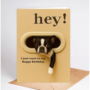 Funny Boston Terrier Birthday Card - Hey! I Just Want To Say Happy Birthday - Cute Dog Greeting Card For Dog Lovers- Men- Women And Kids - Humorous And Adorable Gifts Card Ideal in Saudi Arabia