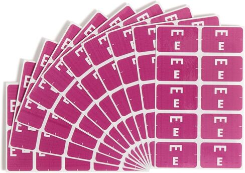Smead AlphaZ ACCS Color-Coded Alphabetic Label E, Purple, 100 Labels per Pack (67175) in Saudi Arabia