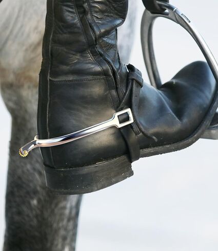 Horse Spurs in Saudi Arabia
