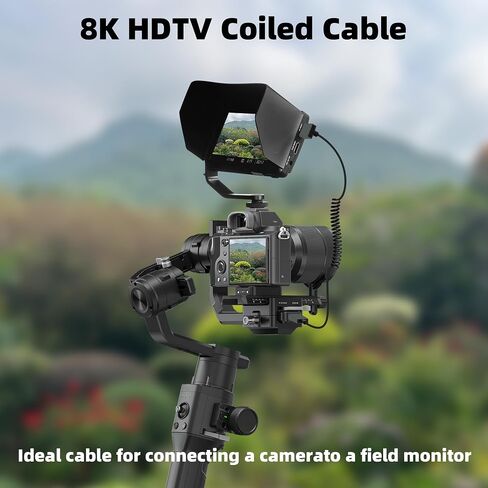 RIIEYOCA Short 8K Micro HDMI to HDMI Coiled Cable, 48Gbps High Speed Male to Male 8K Micro HDMI 2.1 Supports HDR, 8K@60Hz, 4K@120Hz, Compatible with Camera, Camcorder, PC, Monitor(3FT/0.9M) in Saudi Arabia