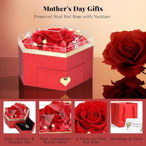 Eternal Preserved Red Rose Gift Box with Exquisite Heart Necklaces, for Women, Girlfriend, Wife, Mom on Birthday, Christmas（Silver） in Saudi Arabia