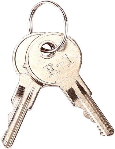 10L0L Universal Golf Cart Ignition Keys for EZGO 1982-up Electric and Gas, 2 PCS, OEM# 17063-G1 17063G1 (Silver) in Saudi Arabia