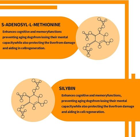 Same and Silybin for Dogs - S-Adenosyl-L-Methionine, Same for Dogs, Liver Supplements for Dogs, Hepatic Supplement for Liver & Brain, Dog Liver Support (Same+Silybin), All Dogs (Under 120 lbs) in Saudi Arabia