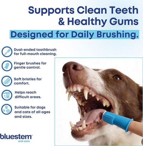 Bluestem toothbrush and finger brush (Brush Set) in Saudi Arabia
