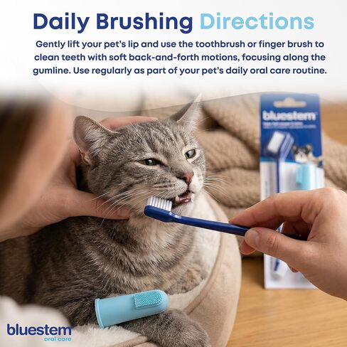 Bluestem toothbrush and finger brush (Brush Set) in Saudi Arabia