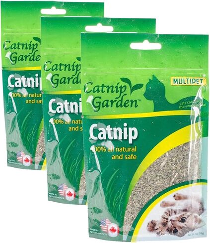 Multipet Gusseted Bag of Catnip Toy, 1/2 oz in Saudi Arabia
