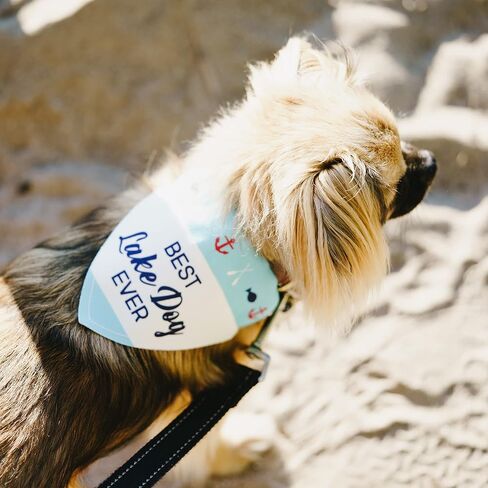 Pavilion Gift Company pet Bandana, Green, 12 X 8 in Saudi Arabia