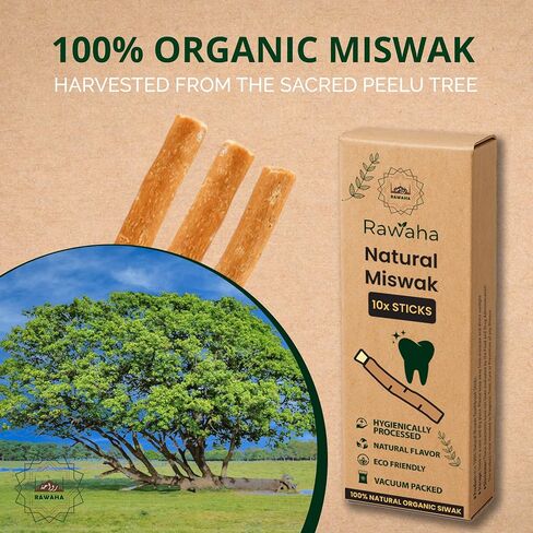2 Pcs Miswak Sticks - Vacuum Sealed Natural Chewing Miswak Sticks for Teeth - Natural Flavored Toothbrush for Teeth Whitening, Oral Health, and Fresh Breath || Pack of 2 in Saudi Arabia