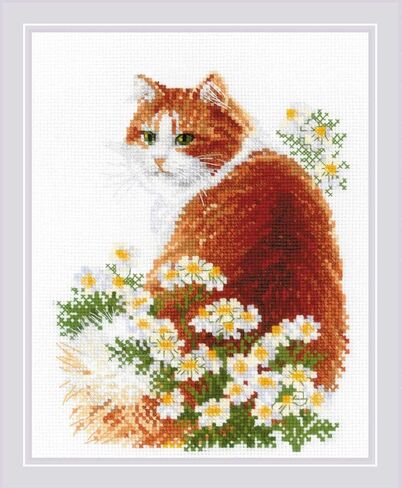 RIOLIS - Amazing Women. Middle East 2248, Cross Stitch Kits 11¾"x11¾, Cross Stitch Kits for Beginners & Advanced, Crossstitching Kits Adult, Counted Stitching Kits, Embroidery Kit in Kuwait