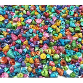 PEPPERLONELY مصبوغة بألوان متنوعة Trochus Tiny Sea Shells، 4 أوقية Apprx.1300+ PC Shells، 1/4 بوصة