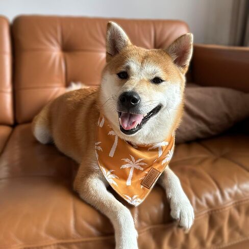 Dog Bandanas 4 Pack, Holiday Set, Large, Premium Durable Soft Fabric, Dual Layer, Girl Boy Summer Cute Puppy Cat Pet Scarf, Unique Shape, Adjustable Fit, Christmas Thanksgiving Birthday in Saudi Arabia