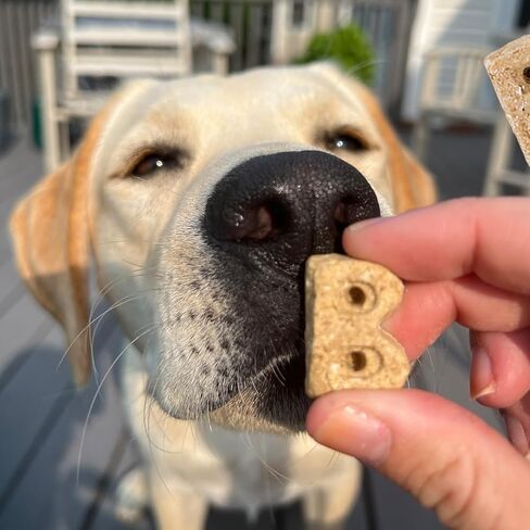 مخبز بوتشي بجوز الهند معكرون للكلاب، حلوى يومية خالية من القمح للكلاب، مصنوعة من مكونات حقيقية، مخبوزة في الولايات المتحدة الأمريكية، بسكويت مقرمش من جوز الهند والخروب والنعناع الطبيعي بالكامل، 5 أونصة in Kuwait