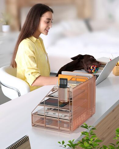 Egepon Rose Gold Office Desk Organizer with Vertical File Folder Holders 5-Tier Paper Letter Tray with Drawer and Hanging Pen Holder Office Supplies and Accessories for Office School Home in Saudi Arabia