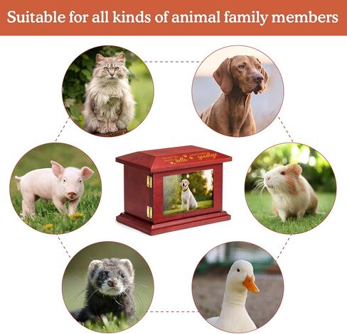 تي جيه. جرار الحيوانات الأليفة من موري لرماد الكلاب، هدايا تذكارية لفقدان القطط، جرة حرق خشبية مخصصة مع إطار للصور، صندوق ذاكرة تذكاري مع حقيبة فلانيل سوداء للحيوانات الأليفة بوزن يصل إلى 100 رطل in Kuwait