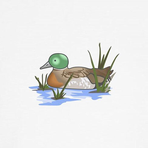 ملابس داخلية كلاسيكية من CafePress MALLARD DUCK، سراويل داخلية نسائية in Kuwait