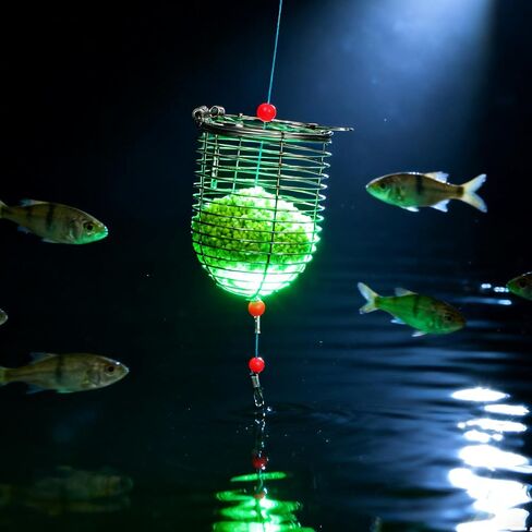 1 Pcs Stainless Steel Fishing Bait Trap Cage Feeder Basket Holder Coarse Lure Feeder Catfish Lure Cage Carp Basket Fishing Tackle (Medium, 4.8x4cm) in Saudi Arabia