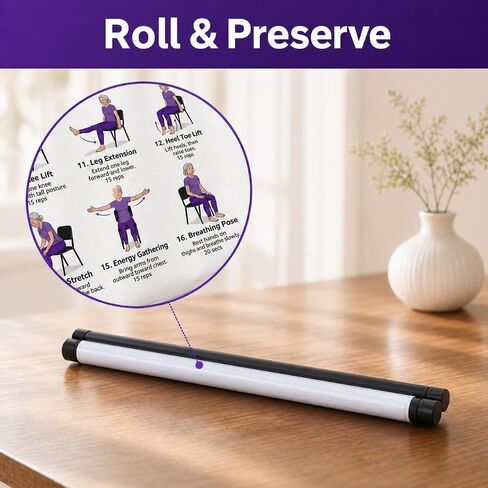 Lionpower Tai Chi Chair Workout Chart for Seniors - Chair Tai Chi Exercise Poster for Beginners - Seated Tai Chi for Seniors Workout Guide - Instructional Wall Art for Balance & Flexibility (16 x 24 inches) in Saudi Arabia