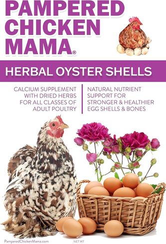 Pampered Chicken Mama Herbal Oyster Shells High Calcium Supplement for Pet Chickens, Ducks, and Other Poultry, Crushed Oyster Shells for Chickens with Herbs (3 POUNDS) in Saudi Arabia