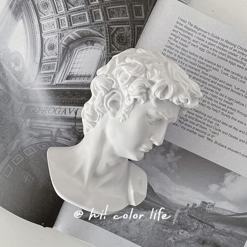 David Statue Greek Bust,Head Bust Statue for Roman Home Decor,Coffee Table Decor White,Greek Mythology Decorfor Bedroom/Living Room/Office 6" in Saudi Arabia