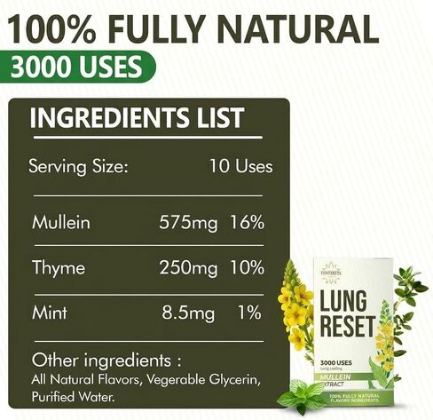 CONVERTTA Herbal Diffuser | Natural Mullein & Thyme Botanical Extract | Plant-Based Wellness | 3K Series (Green, 2 Stick (Pack of 1)) in Saudi Arabia