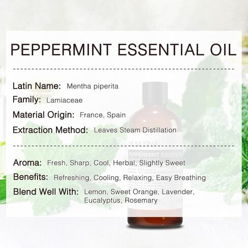 زيت النعناع العطري، زيت النعناع النقي والطبيعي 100%، 100 مل، زيت عطري عالي الجودة للعناية بالبشرة والجسم والشعر، والهواء المنعش، والمزاج، والناشر، والتدليك، وصناعة الصابون والشموع in Kuwait