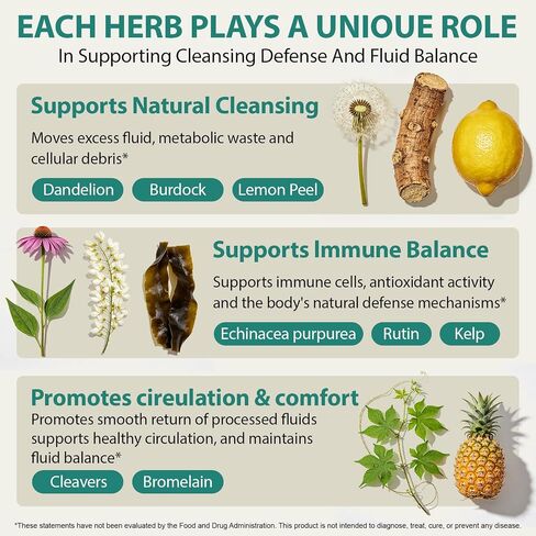 Lymphatic Drainage Supplements, Lymphatic Drainage Capsules for Immune Health & Fluid Balance – Natural Herbal with Echinacea, Dandelion & Burdock Root, Non-GMO, Vegan, Gluten Free - 120 Capsules in Saudi Arabia