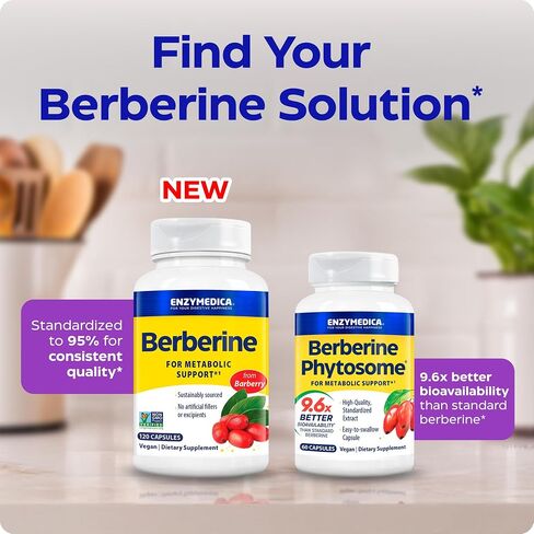 مكمل Enzymedica Berberine HCl 510 مجم - كبسولات بربارين للرجال والنساء، دعم الصحة الأيضية الطبيعية، نباتي، خالي من الغلوتين، غير معدل وراثيًا - 120 كبسولة إطلاق مستهدفة in Kuwait