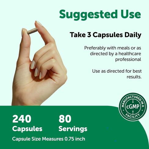 Micro Ingredients Rhodiola Rosea Supplement, 240 Vegetarian Capsules | Rhodiola Rosea Extract Powder with Ashwagandha, Saffron, Passion Flower & Holy Basil | Non-GMO, Gluten Free in Kuwait