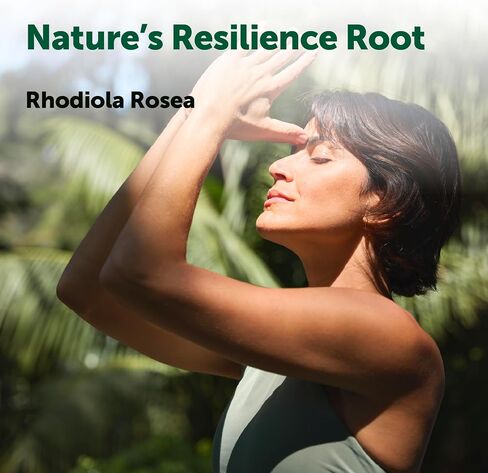 Micro Ingredients Rhodiola Rosea Supplement, 240 Vegetarian Capsules | Rhodiola Rosea Extract Powder with Ashwagandha, Saffron, Passion Flower & Holy Basil | Non-GMO, Gluten Free in Kuwait