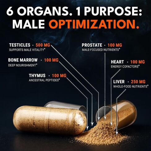 Men's Performance Stack – Beef Organ Complex + Testosterone Supplement – Grass Fed Organs & 15-in-1 Test Support with Tongkat Ali, Ashwagandha, Shilajit – 240 Capsules in Saudi Arabia
