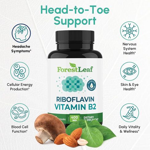 ForestLeaf Vitamin B2 Riboflavin 400mg - Energy, Skin & Cellular Health Supplement - Nervous System Support - Vitamin B 2 VIT B - Non-GMO & Gluten Free - B2 Vitamin 400mg Vegetable Capsules, 90 Count in Saudi Arabia