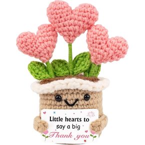 WITCOLOR Crochet Birthday Gift – Inspirational Heart Planter Handmade Happy Birthday Gift for Women,Man,Mom, Sister, Best Friend, Coworker – Unique Gift Ideas for Her, Him, Birthday Decorations in Saudi Arabia