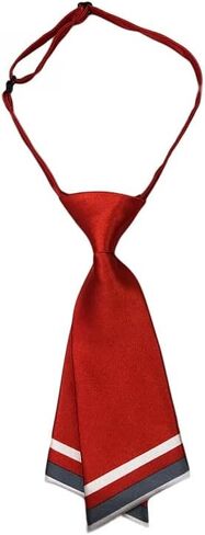 وشاح عصر النهضة الرجالي من COSDREAMER Jabot Cravat، ألوان متباينة، ربطة عنق رجالية من PAISLEY Cravat in Kuwait