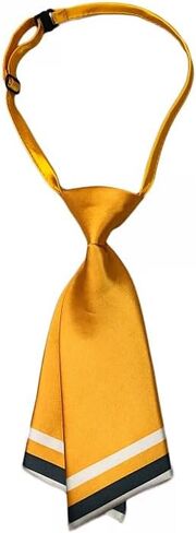 وشاح عصر النهضة الرجالي من COSDREAMER Jabot Cravat، ألوان متباينة، ربطة عنق رجالية من PAISLEY Cravat in Kuwait