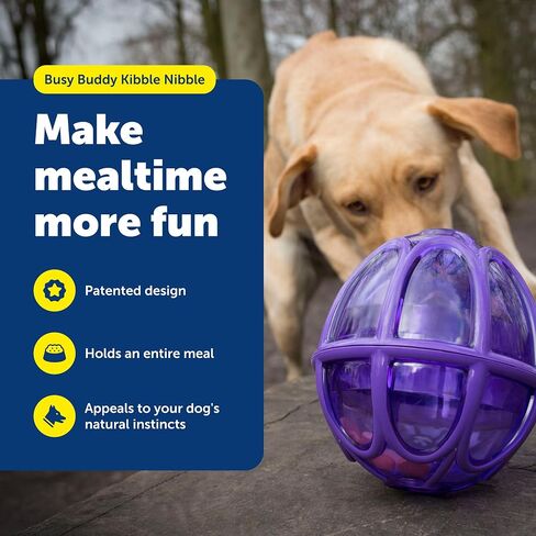 PetSafe Busy Buddy Kibble Nibble - لعبة للكلاب - موزع للطعام والحلوى - وحدة تغذية بطيئة - صغيرة in Kuwait