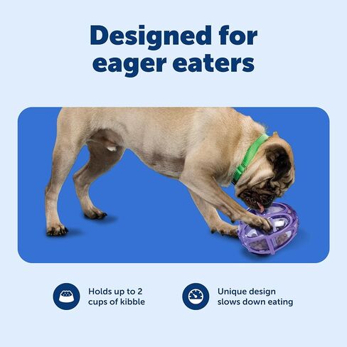 PetSafe Busy Buddy Kibble Nibble - لعبة للكلاب - موزع للطعام والحلوى - وحدة تغذية بطيئة - صغيرة in Kuwait
