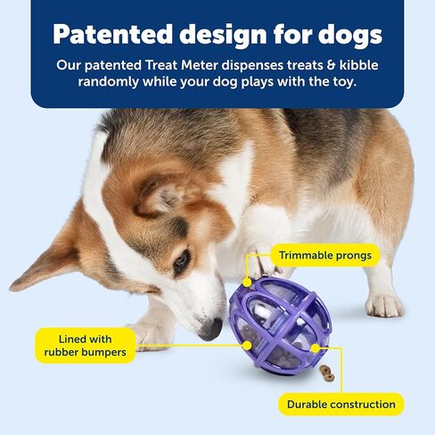 PetSafe Busy Buddy Kibble Nibble - لعبة للكلاب - موزع للطعام والحلوى - وحدة تغذية بطيئة - صغيرة in Kuwait