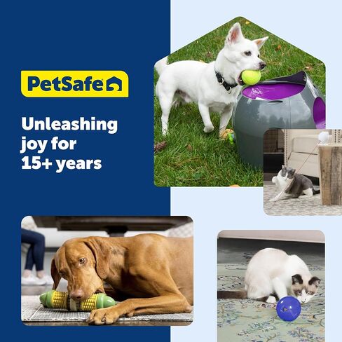 PetSafe Busy Buddy Kibble Nibble - لعبة للكلاب - موزع للطعام والحلوى - وحدة تغذية بطيئة - صغيرة in Kuwait