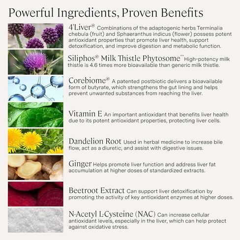 Stonehenge Health Dynamic Liver – Siliphos Milk Thistle Formula – Liver Support & Antioxidant Support, Gut-Liver Axis, Selenium, Zinc, Vitamin E, Ginger, Beetroot Extract Non-GMO, 60 Veg Caps (3 Pack) in Saudi Arabia