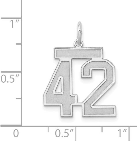 Saris and Things 925 Sterling Silver Medium Satin Number 42 Charm Pendant in Saudi Arabia