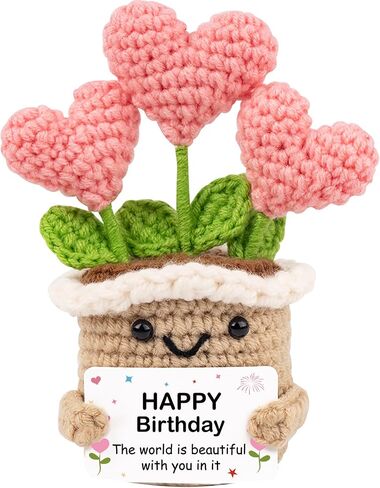 WITCOLOR Crochet Birthday Gift – Inspirational Heart Planter Handmade Happy Birthday Gift for Women,Man,Mom, Sister, Best Friend, Coworker – Unique Gift Ideas for Her, Him, Birthday Decorations in Saudi Arabia