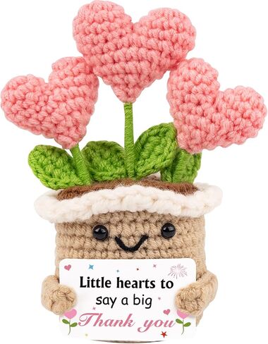 WITCOLOR Crochet Birthday Gift – Inspirational Heart Planter Handmade Happy Birthday Gift for Women,Man,Mom, Sister, Best Friend, Coworker – Unique Gift Ideas for Her, Him, Birthday Decorations in Saudi Arabia