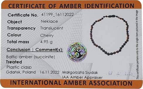 Genuine Amber Necklace from Baltic Sea Made with Polished Mixed 34 cm (13.4 Inches) in Saudi Arabia