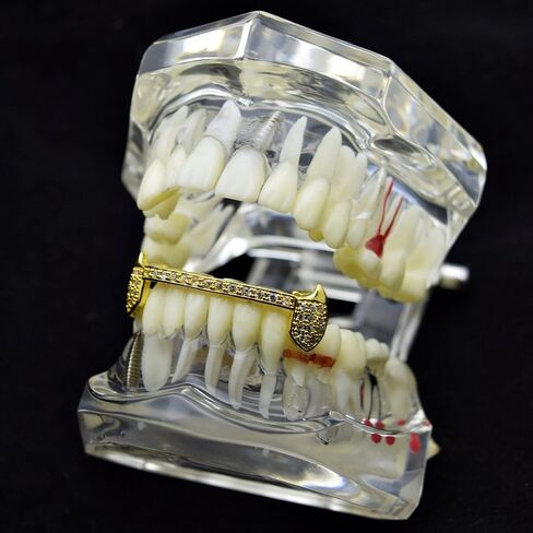 CZ Fang Grillz Set 14k Gold Plated Lower Half Teeth Cubic Zirconia Slim Bar Vampire Fangs Grills in Saudi Arabia