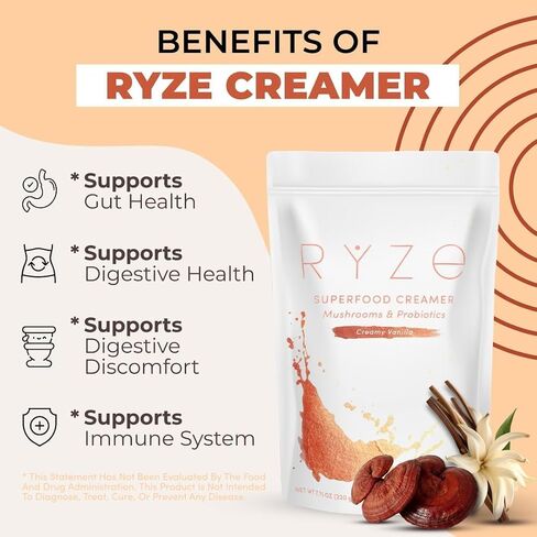 RYZE SUPERFOODS RYZE n Shine Bundle, USDA Organic Mushroom Medium Roast Coffee + Probiotic Coffee Creamer with 6 Adaptogenic Mushrooms for Better Energy, Focus, Digestion, Immunity, 30 + 30 Servings in Kuwait