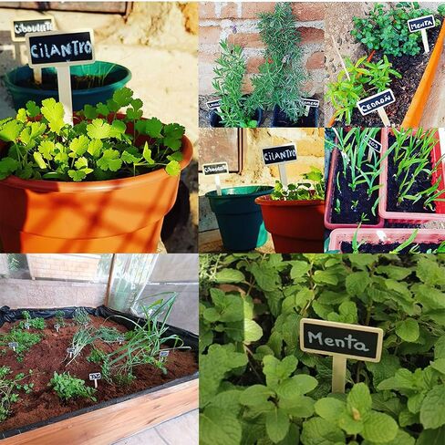20 Pcs Mini Chalk Board Signs, Wood Garden Tags Display Flowers Vegetables, Chalkboard Gardening Plant Tags for Message Board Signs, Blackboard Nursery Plant Label Wedding Party Decorations in Saudi Arabia